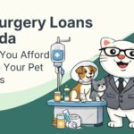 Flat vector illustration of cat needing a loan for pet surgery in Canada.