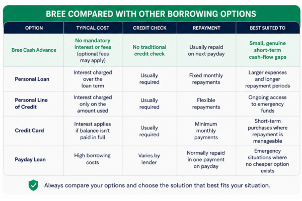 Bree compared with other borrowing options