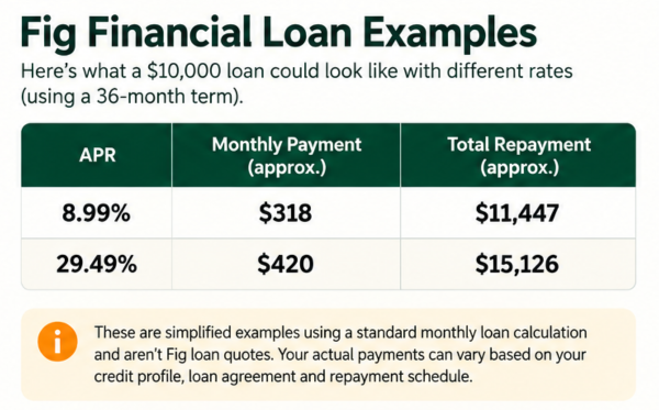 Fig Financial loan cost examples at different APRs